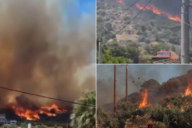 video incendii devastatoare in grecia si turcia doi morti in izmir mii de locuitori si turisti au fost evacuati 6867e008a0984