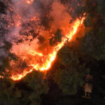 video incendiile devastatoare au distrus 3 din padurile siriei damascul a cerut ajutorul ue pentru a opri focarele 686d14131008d