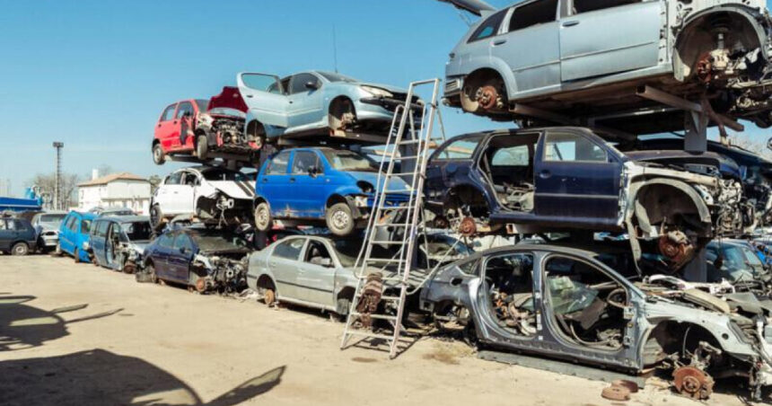 video ministrul mediului diana buzoianu anunta cand porneste programul rabla ce spune despre casa verde trebuie analizat foarte atent 68827af85f92e