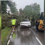 Rupere de nori în Iași și Neamț. Au căzut bucăți mari de grindină, zeci de copaci au fost doborâți de vânt. 2 video rupere de nori in iasi si neamt au cazut bucati mari de grindina zeci de copaci au fost doborati de vant 6877b2e22f7ed