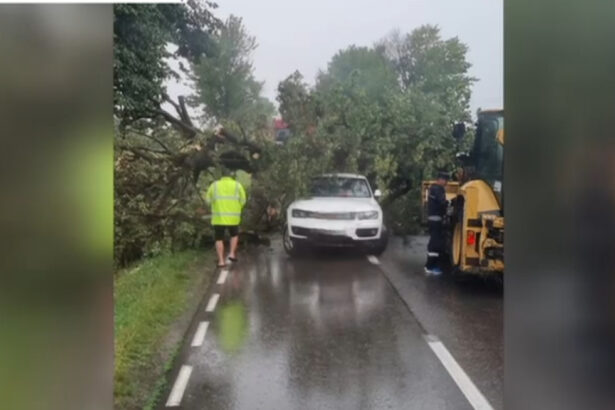 video rupere de nori in iasi si neamt au cazut bucati mari de grindina zeci de copaci au fost doborati de vant 6877b2e22f7ed