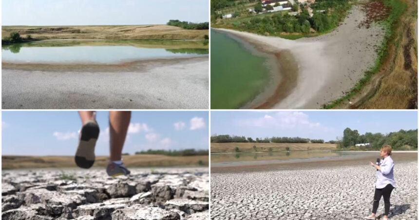 video seceta goleste lacurile din sudul romaniei cum arata astazi un lac de peste 40 de hectare din olt s a ales praful 6884540daf88f