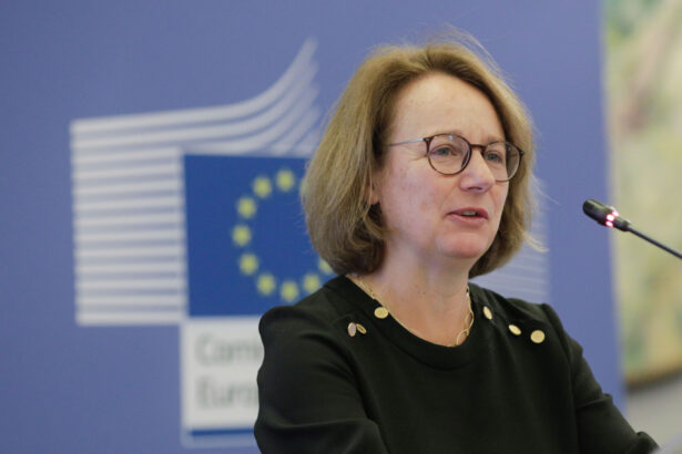 video sefa pnrr vizita la bucuresti romania va trimite la bruxelles planul national de redresare si rezilienta revizuit 6874b0a9ac942