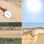 video situatie critica in sahara olteniei unde nu a mai plouat de trei luni cum arata viata de agricultor in camp la peste 40 celsius 6881d1ead6bda