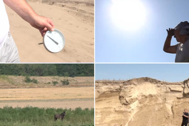 video situatie critica in sahara olteniei unde nu a mai plouat de trei luni cum arata viata de agricultor in camp la peste 40 celsius 6881d1ead6bda