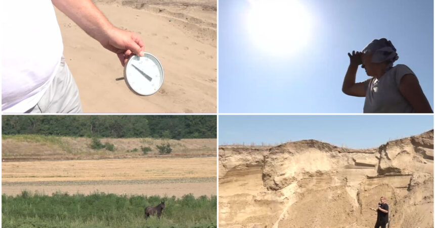video situatie critica in sahara olteniei unde nu a mai plouat de trei luni cum arata viata de agricultor in camp la peste 40 celsius 6881d1ead6bda