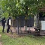 Suspectul crimei din Mureș, căutat în județul Arad; percheziții și la mai multe adrese din Mureș. 2 video suspectul crimei din mures cautat in judetul arad sunt perchezitii si la mai multe adrese din mures 68737ed5a5e21