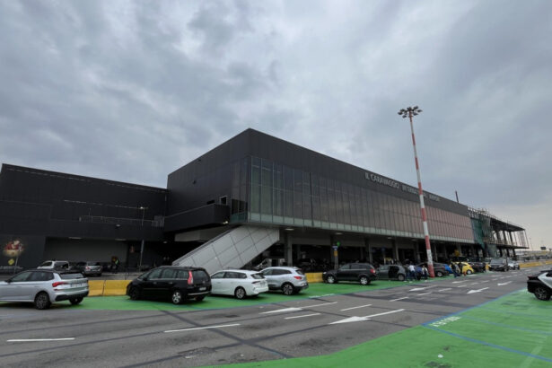 video un barbat a murit pe aeroportul din bergamo aspirat de motorul unui avion zborurile au fost suspendate 686d118c2924d