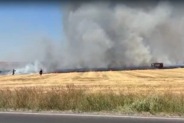 video val de incendii de vegetatie uscata in judetul constanta 6867c16a72dec