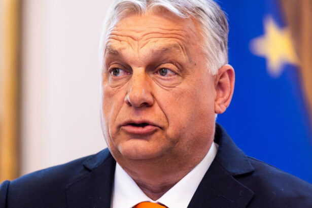 video viktor orban si ilie bolojan intalnire informala la palatul victoria ce au discutat cei doi prim ministri 68814097d3d53