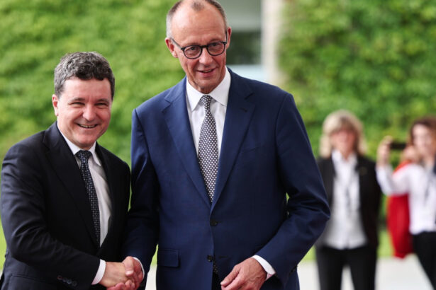 videofoto nicusor dan vizita oficiala in germania ce prevede planul comun de actiune semnat de cele doua tari 687b22eedb91f