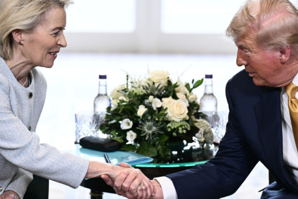 von der leyen apara acordul ue sua pe tarife cel mai bun pe care l am putut obtine industria germana nemultumita o umilinta 6887338774d51