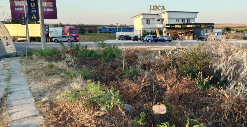 Manipularea din jurul „perdelei forestiere” din Agigea.Vinovat „de serviciu”: primarul Cîrjaliu 1 28.08.2025 13.30.35 REC