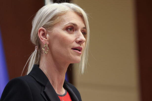 alina gorghiu guvernul sprijina legea care majoreaza pedepsele agresorilor violenti incalcarea ordinelor nu ramane fara consecinte 68a4d210ddbb3