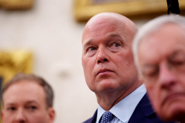 ambasadorul american la nato anunt despre summitul trump putin ce spune matthew whitaker despre participarea lui zelenski 68998bdd78f06