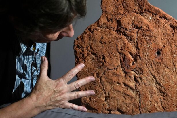 amprenta veche de 4 000 de ani descoperita pe o ofranda funerara din egiptul antic 688f1a18875f9