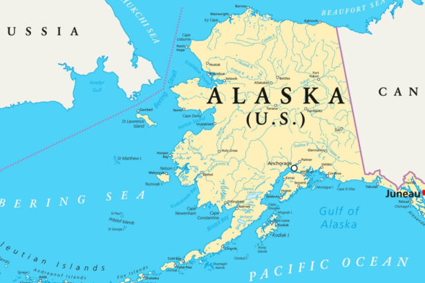 analiza strainii vor fi exclusi fara zelenski fara europa de ce a fost ales statul alaska pentru summitul dintre trump si putin 6897874a325d9
