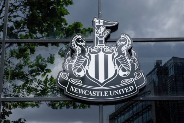 bogatii de la newcastle mai fac un transfer premier league se vede pe voyo incepand cu 15 august 6897a65b20a08