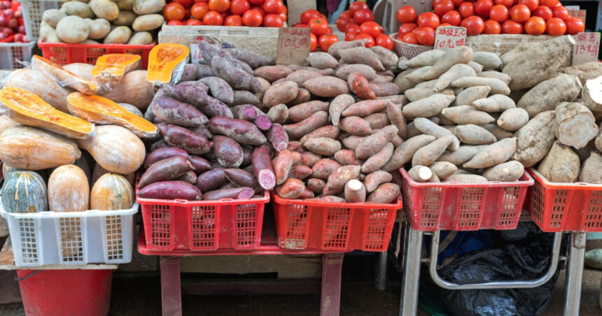 Cartofii și roșiile au un strămoș comun, ceea ce ar putea revoluționa agricultura: roșii la suprafață, tuberculi în pământ. 1 cartofii si rosiile au un stramos comun iar asta poate ajuta la revolutionarea agriculturii tomate la suprafata tuberculi in pamant 688e143503e7f