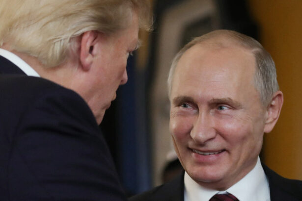 ce isi doreste vladimir putin sa obtina de la intalnirea cu donald trump 6895778b5e6d0