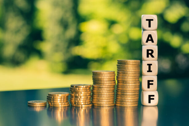 cea mai mare economie a europei afectata de inflatie si somaj pe fondul tarifelor vamale anuntate de sua 68b2a2c4eb7e8