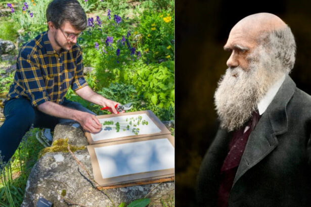 cel mai bun job din lumea naturala un colectionar de seminte va pleca intr o aventura in jurul lumii pe urmele lui charles darwin 688eea944d6b8