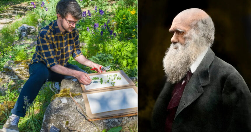 cel mai bun job din lumea naturala un colectionar de seminte va pleca intr o aventura in jurul lumii pe urmele lui charles darwin 688eea944d6b8