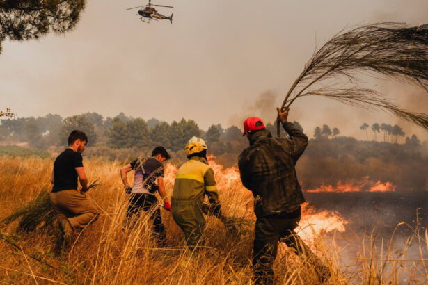 climatolog incendiile de vegetatie din spania trebuie sa fie un avertisment pentru restul europei 68ad5cbc22e50
