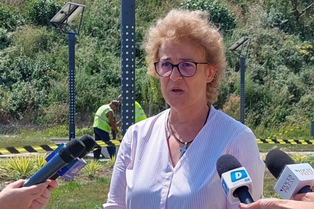 constanta este in insolventa felicia ovanesian a explicat motivele pentru care crede ca orasul este in faliment 689bccbd18129
