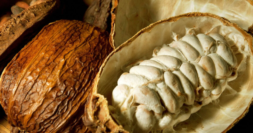 criza industriei de ciocolata o noua metoda de productie ar putea folosi parti mai mari din fructul de cacao fara a afecta gustul 68ab12cea27e5