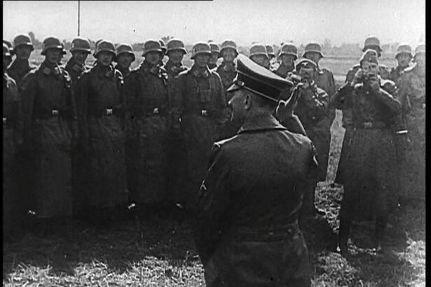 cum s a lasat stalin inselat de hitler 68a9e18f77821