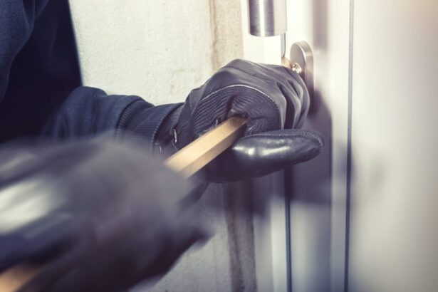 cunoscutul tarla din cumpana spaima apartamentelor de la parter aur 30 000 de euro si o sacosa de kaufland a impuscat 6 ani de inchisoare 689bb87ed8dbb