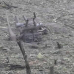 de unde provenea drona militara prabusita in estul poloniei primele concluzii ale procurorilor 68a6fd7671cf3