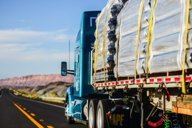 departamentul de stat al sua suspenda acordarea de vize pentru soferii de camion straini ce motive a invocat 68a8179d350b2