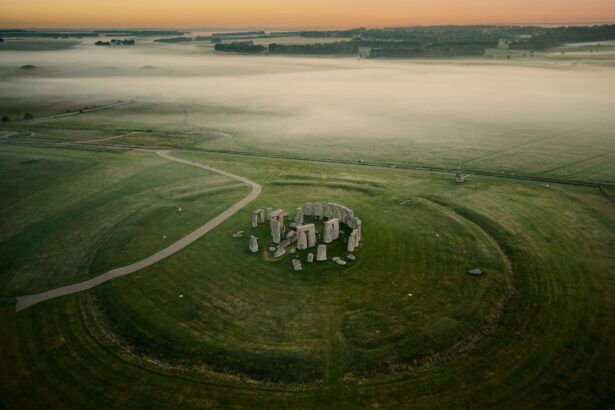 dintii unei vaci ofera indicii despre transportul pietrelor de la stonehenge 68adc0db1f90b