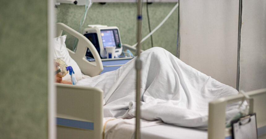 doua cazuri de infectare cu virusul west nile in judetul timis unul dintre pacienti este in stare grava la ati 68b19b429733e