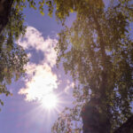 estimari meteo pe 4 saptamani final de august cu temperaturi mai scazute decat de obicei cum va fi vremea in septembrie 68a423c677f50