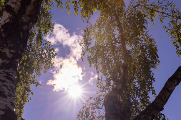 estimari meteo pe 4 saptamani final de august cu temperaturi mai scazute decat de obicei cum va fi vremea in septembrie 68a423c677f50