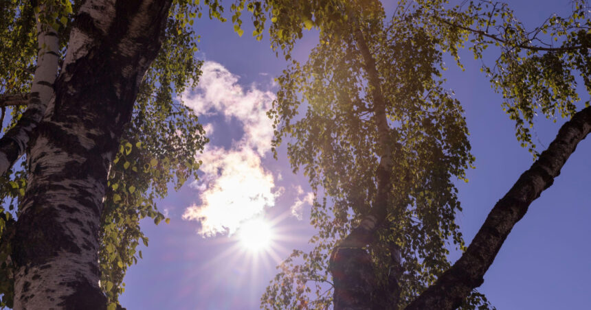 estimari meteo pe 4 saptamani final de august cu temperaturi mai scazute decat de obicei cum va fi vremea in septembrie 68a423c677f50