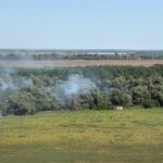 foto de 5 zile arde padurea din zona chilia veche judetul tulcea 6895db61c7839
