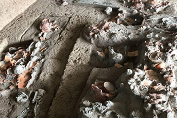 foto descoperire rara dinti vechi de 4 000 de ani arata ca oamenii consumau nuci cu efecte psihoactive 6890517b82a37