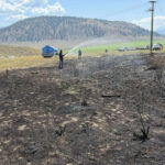 foto un peste scapat de o pasare de prada pe o linie de inalta tensiune a provocat un incendiu in canada a vrut sa incerce peste gatit 68943f86220a4