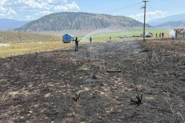 foto un peste scapat de o pasare de prada pe o linie de inalta tensiune a provocat un incendiu in canada a vrut sa incerce peste gatit 68943f86220a4