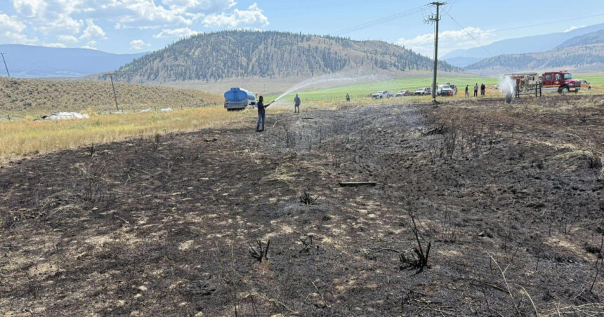 foto un peste scapat de o pasare de prada pe o linie de inalta tensiune a provocat un incendiu in canada a vrut sa incerce peste gatit 68943f86220a4