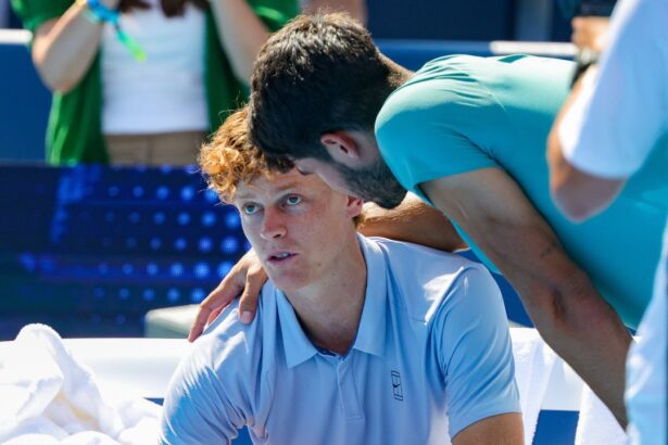 galerie foto ce risipa ce le a spus sinner 1 atp fanilor care au platit o avere ca sa il vada abandonand in finala de la cincinnati 68a4bccc6701f