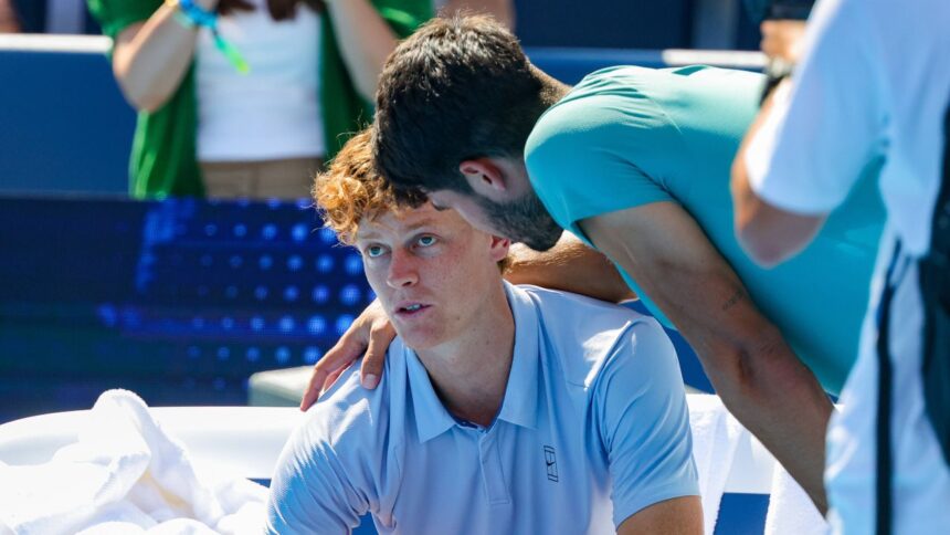 galerie foto ce risipa ce le a spus sinner 1 atp fanilor care au platit o avere ca sa il vada abandonand in finala de la cincinnati 68a4bccc6701f