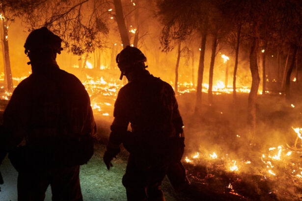 galerie foto incendiile de vegetatie fac ravagii in nord vestul spaniei peste 1000 de persoane evacuate sit unesco in pericol 6899c07c8d84d