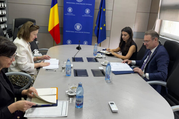 germania sustine aderarea romaniei la ocde anuntul noului ambasador angela ganninger 68adaeb66ba71
