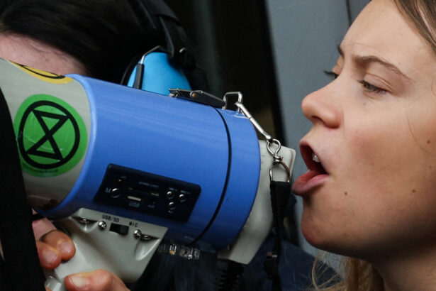 greta thunberg vrea sa mearga din nou in gaza in iunie activista a fost deportata de israel in drum catre enclava palestiniana 6899e05fef010