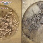 gropile funerare neolitice dezvaluie practici de razboi macabre 68ac77a63a724
